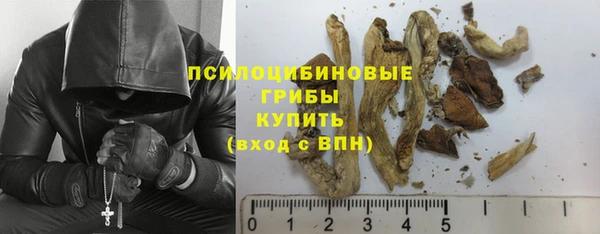 трава Алзамай