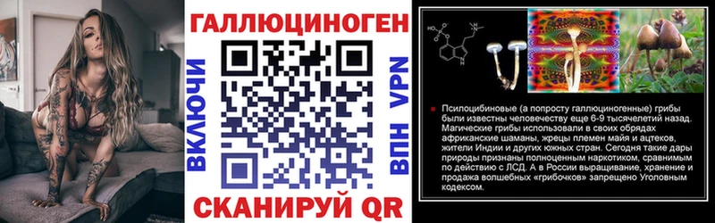 Псилоцибиновые грибы прущие грибы  ОМГ ОМГ как войти  Джанкой  дарнет шоп 
